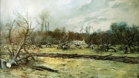 Ein verwüsteter Obstgarten in ländlichen Gebieten